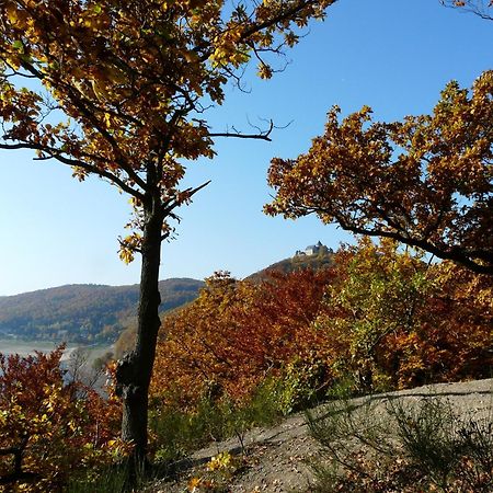 Belvedere - Das Bio Hotel Garni & Suitehotel Am Edersee ! Unser Geschenk Fuer Sie, Auch Die Gaestecard Grimmheimat! ヴァルデック エクステリア 写真