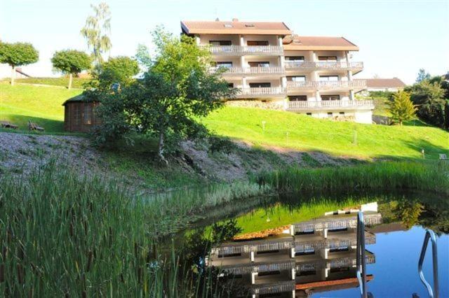 Belvedere - Das Bio Hotel Garni & Suitehotel Am Edersee ! Unser Geschenk Fuer Sie, Auch Die Gaestecard Grimmheimat! ヴァルデック エクステリア 写真
