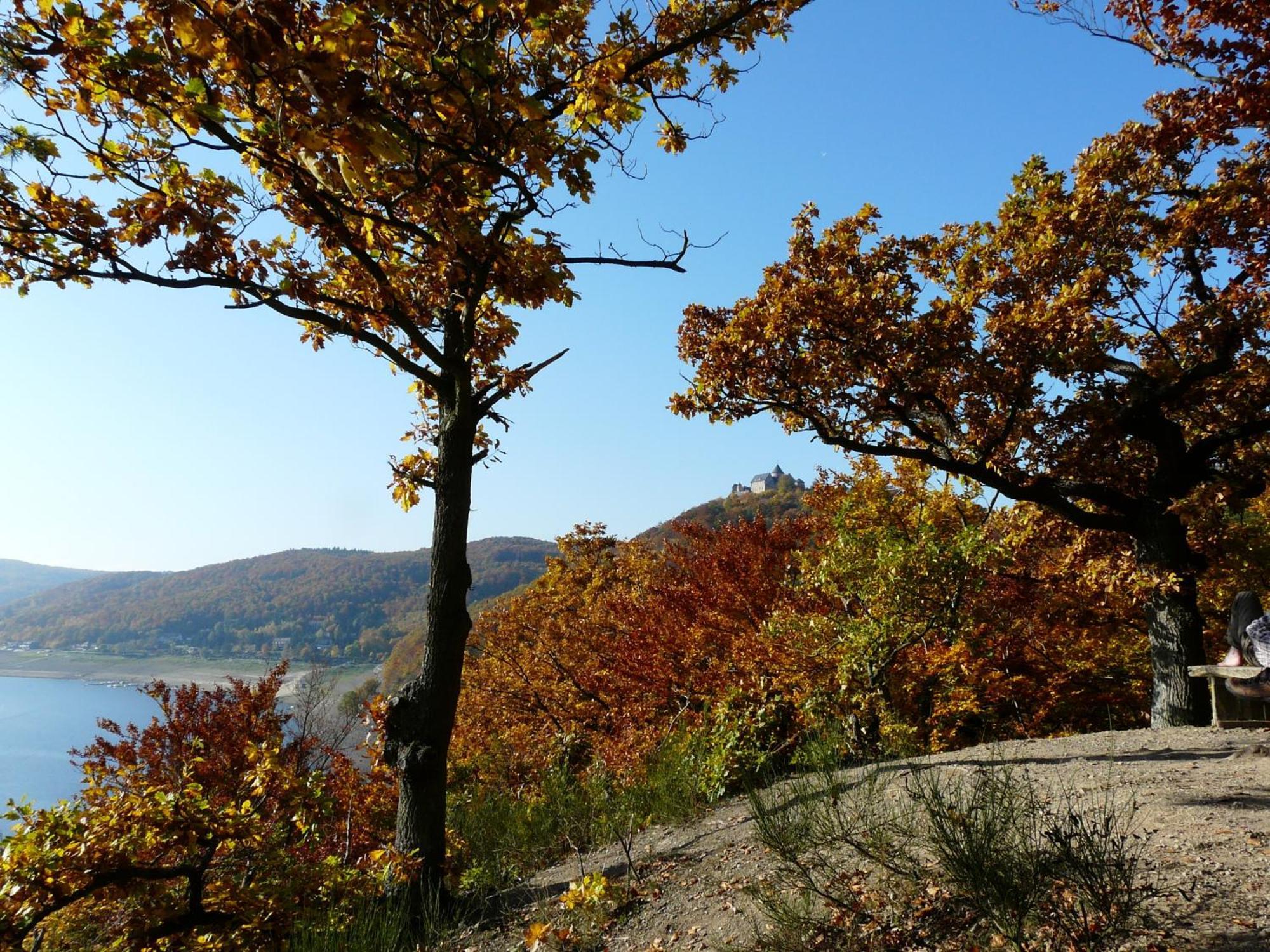 Belvedere - Das Bio Hotel Garni & Suitehotel Am Edersee ! Unser Geschenk Fuer Sie, Auch Die Gaestecard Grimmheimat! ヴァルデック エクステリア 写真