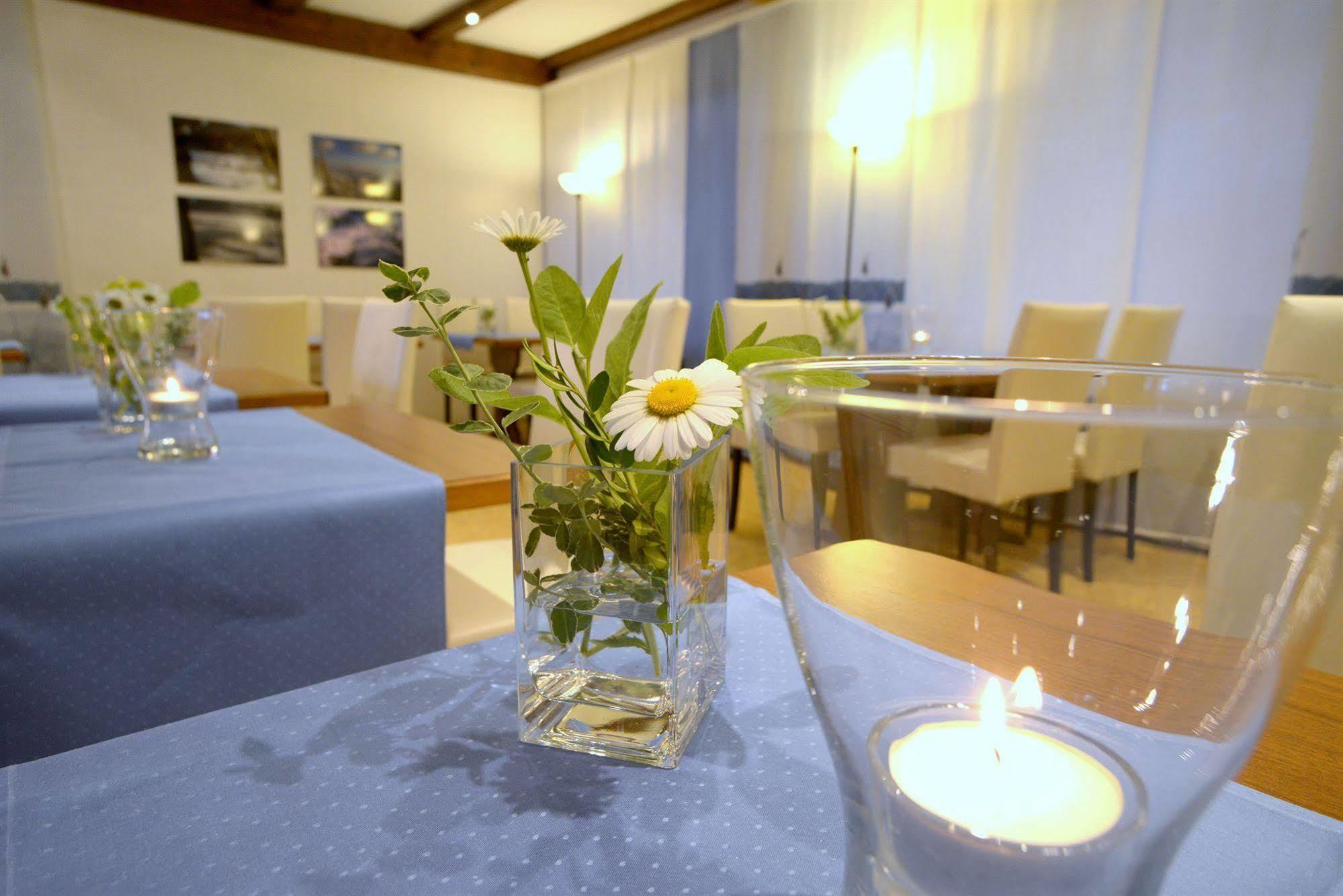 Belvedere - Das Bio Hotel Garni & Suitehotel Am Edersee ! Unser Geschenk Fuer Sie, Auch Die Gaestecard Grimmheimat! ヴァルデック エクステリア 写真